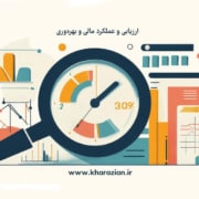 ارزیابی عملکرد مالی و بهره وری