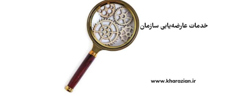 خدمات عارضه یابی سازمان