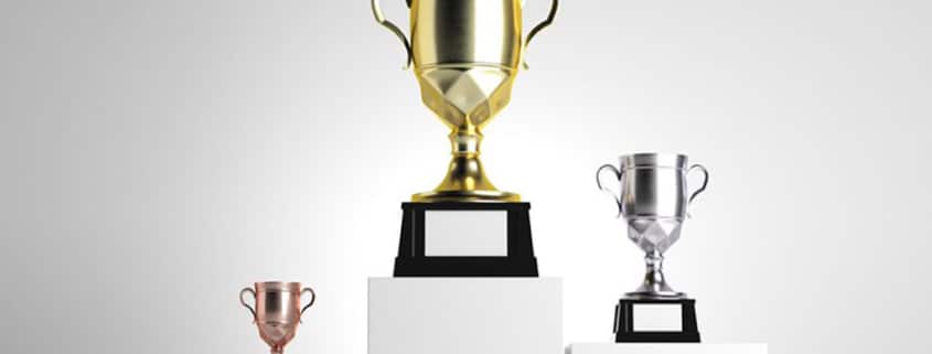 تعیین سطوح تعالی سازمانی