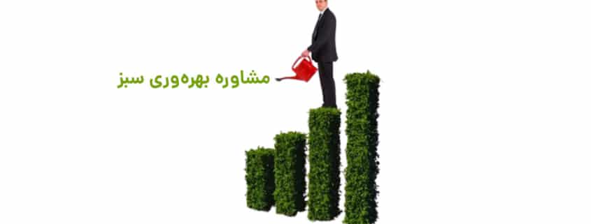 مشاوره بهره وری سبز